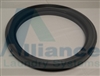 Ipso 217/00015/00 SEAL DOOR GLASS WE55-HF165