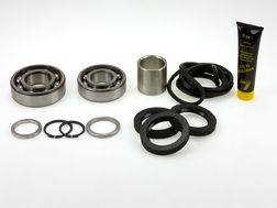Wascomat 472990218 SKF Bearing Kit W/FL123/125