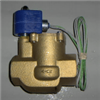 Hays Electro Steam Valve 2", 24v